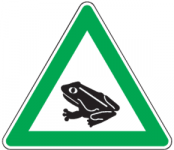 Frosch